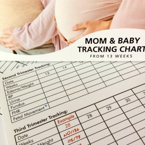 Mom & Baby Tracking Chart