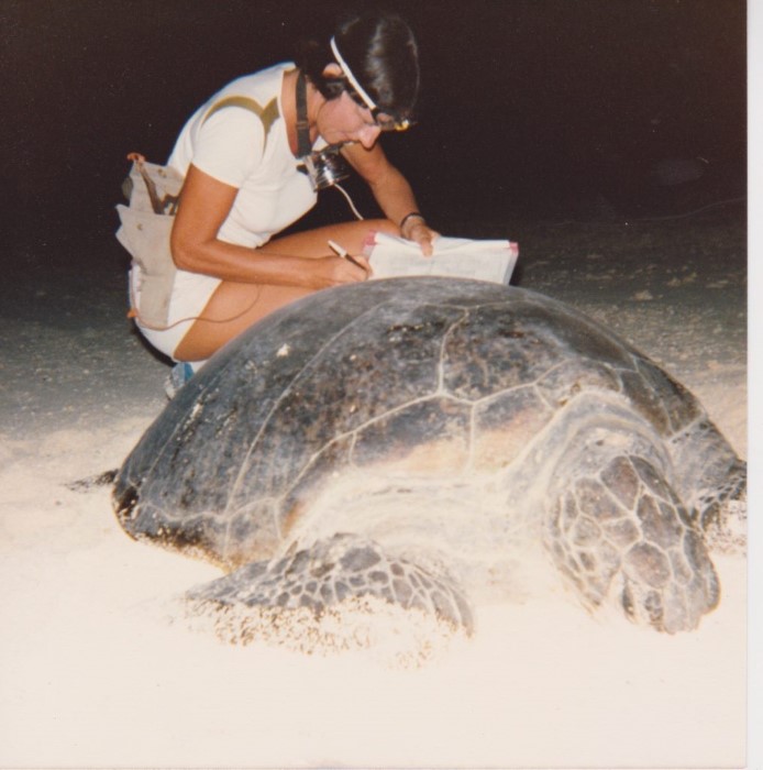 Jenni turtle tagging, Heron Island, Australia, 1978