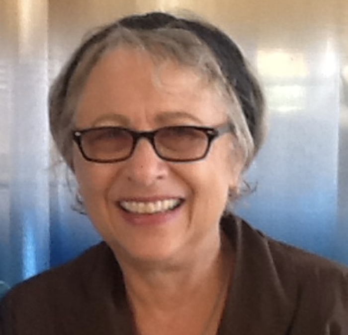 Carol Orsborn, Boomer Generation Expert and Author