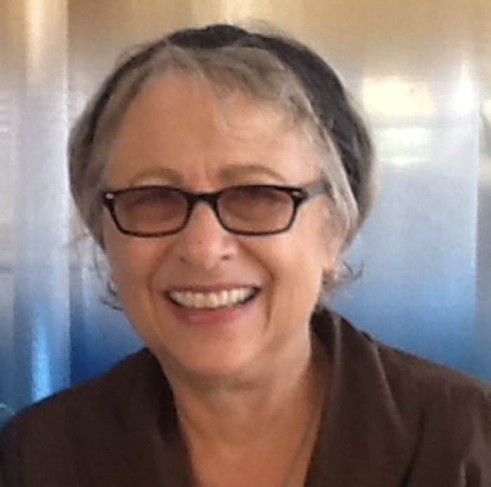 Carol Orsborn, Boomer Generation Expert and Author